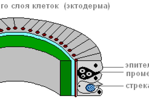Kraken ссылка для тору